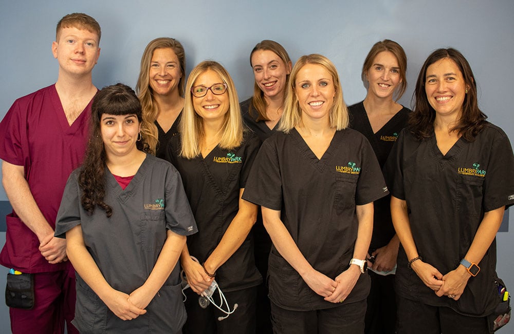 Lumbry Park anaesthesia team