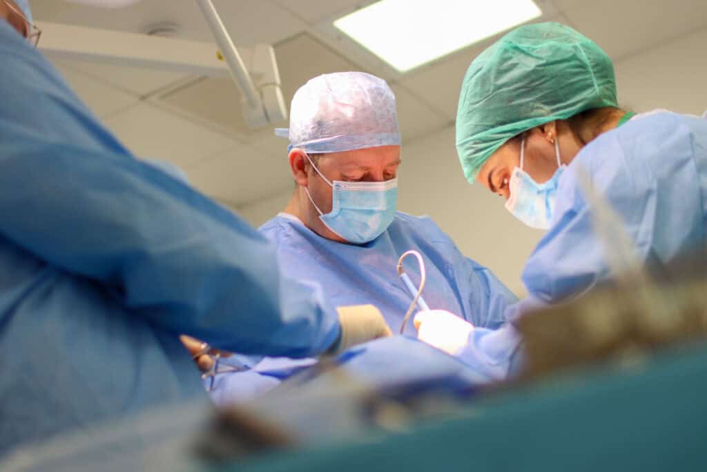 Lumbry Park Veterinary Specialists celebrates 10th Anniversary with exclusive veterinary event